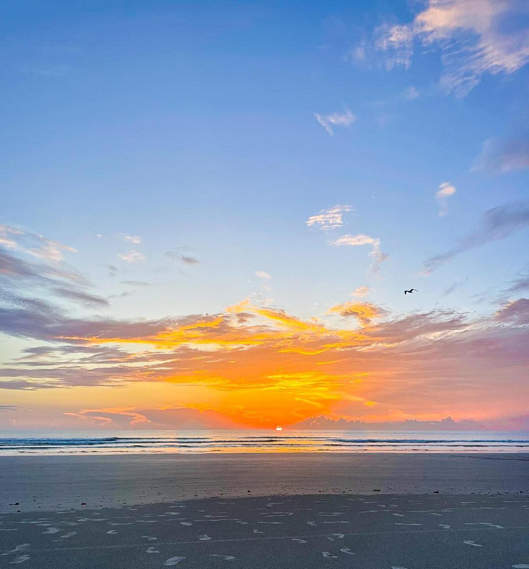 فيلا Kiawah Bay 106 نيو سميرنا بيتش المظهر الخارجي الصورة